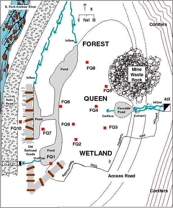 Figure 2. Detailed map of Forest Queen wetland and adjacent area. Core locations are shown by filled squares, and core numbers are prefixed by "FQ." 