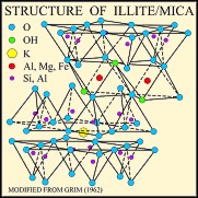 Structure of Illite/Mica