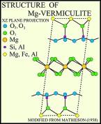 Structure of Vermiculite