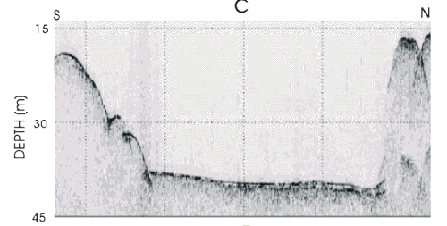 Figure 13.  Seismic profiles showing different examples of the post-impoundment sediment fill.