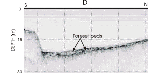 Figure 13.  Seismic profiles showing different examples of the post-impoundment sediment fill.