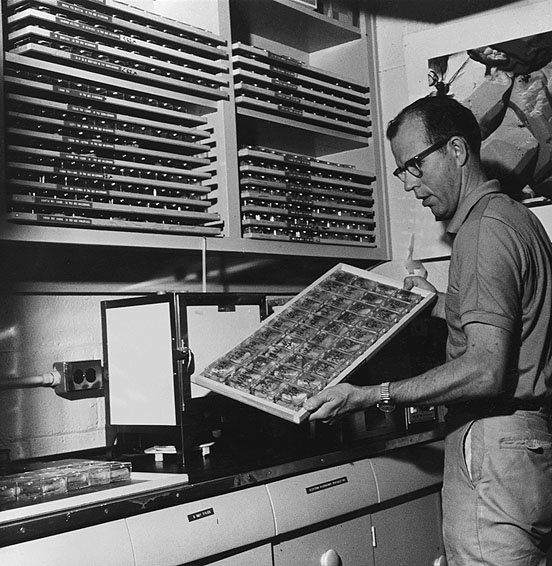 John C. Hathaway, USGS, displays some of his mineral and rock samples he has catalogued and files in his laboratory at the Woods Hole Oceanographic Institution.  WHOI and the U.S. Geological Survey are undertaking a joint study of the geologic structure and composition of the Atlantic Shelf and Slope.