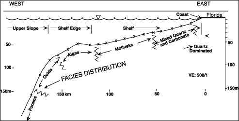 Facies distribution across the west-central Florida inner shelf. The coast is quartz dominated but contains a skeletal component.