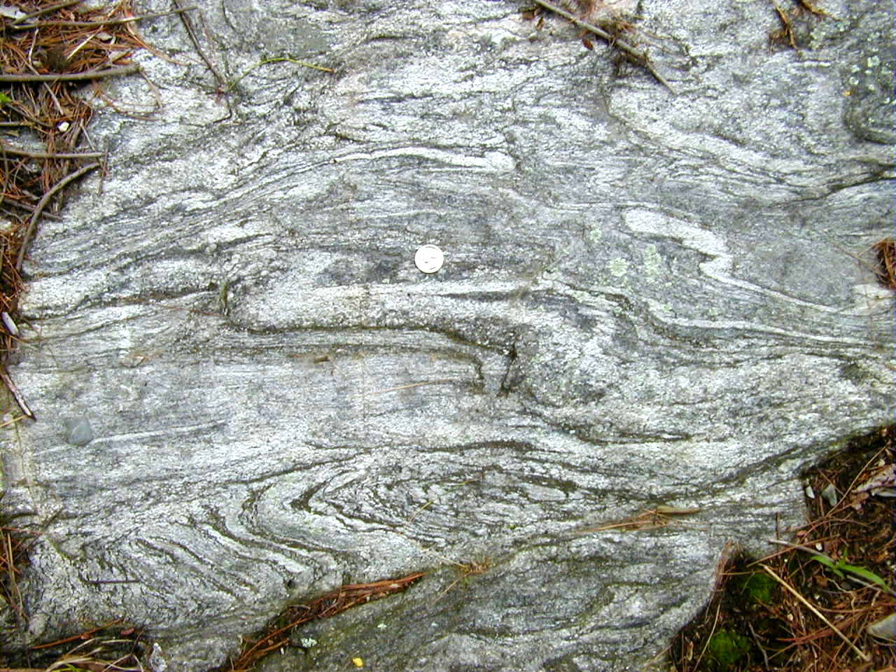 Map view of F2 folds in the Nashoba Formation