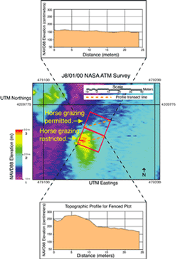 August 1, 2000, <ACRONYM>NASA</ACRONYM> ATM survey of southernmost experimental plots.  Diagonal profiles of each plot reveal topographic difference between areas where horse grazing is permitted and restricted.