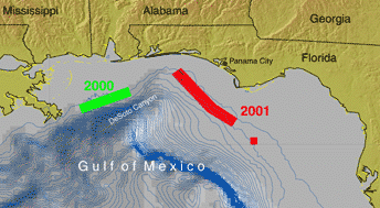  [ Gulf of Mexico location map showing the 2000 multibeam sonar survey off Mississippi and Alabama and the 2001 multibeam sonar survey off the west coast of Florida ]  