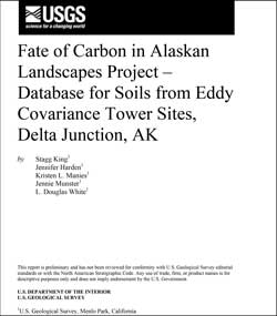 Thumbnail of and link to report PDF (132 kB)