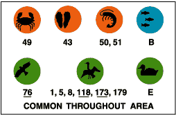 Common throughout area: crabs (49), oysters/clams (43), shrimp/crayfish (50,51), marine fish (B), raptors (76), diving birds (1, 5, 8, 118, 173, 179), water fowl (E).