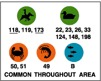 Common throughout area: diving birds (118, 119, 173),  waterfowl (22, 23, 26, 33, 124, 148, 198), crabs (50, 51), shrimp/crayfish (49), marine fish (B).