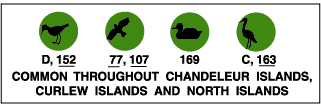 Common throughout Chandeleur Islands, Curlew Islands and North Islands: shore birds (D, 152), raptors (77, 107), waterfowl (169),  wading birds (C, 163).