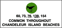 Common throughout Chandeleur Island Beaches: shore birds (60, 67, 73, 139, 154).