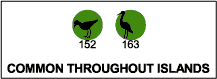 Common throughout islands: shorebirds (152), wading birds (163).