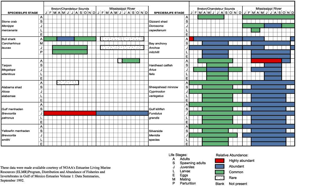 Graph showing the temporal distribution of ELMR species.