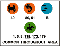 Common throughout area: crabs (49), shrimp/crayfish (50, 51), marine fish (B), diving birds (1, 5, 8, 118, 173, 179).