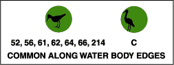 Common along water body edges:  shorebirds (52, 56, 61, 62, 64, 66, 214), wading birds (C).