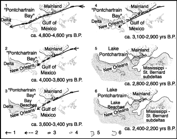 Development of Pine Island Barrier Trend.