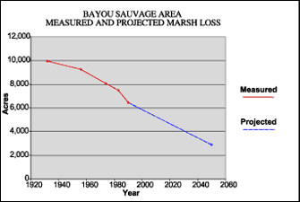 Graph showing Bayou Sauvage Area measured and predicted marsh loss.