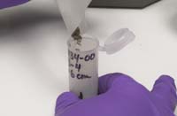 Pour sediment back in vial
