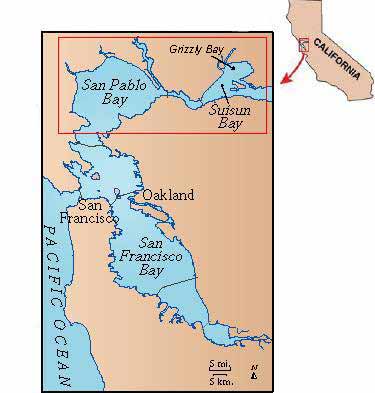 Location Map of San Pablo and Suisun Bays.  Both bays are part of the San Francisco Bay estuary in Central California.