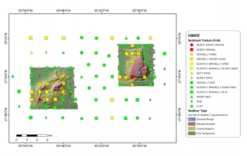 Flower Garden Banks sea-floor type interpretation with texture data.