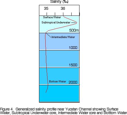 Generalized salinity profile near Yucatan Channel showing surface water, subtropical underwater core, intermediate water core, and bottom water