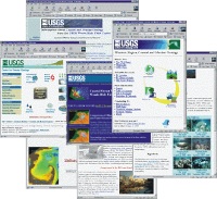 Image of Web Pages.