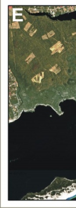 Figure 14E. Historic shoreline positions from 1830,1870,1962, 1979,1983, and 2001 at  Smith Point County Park.