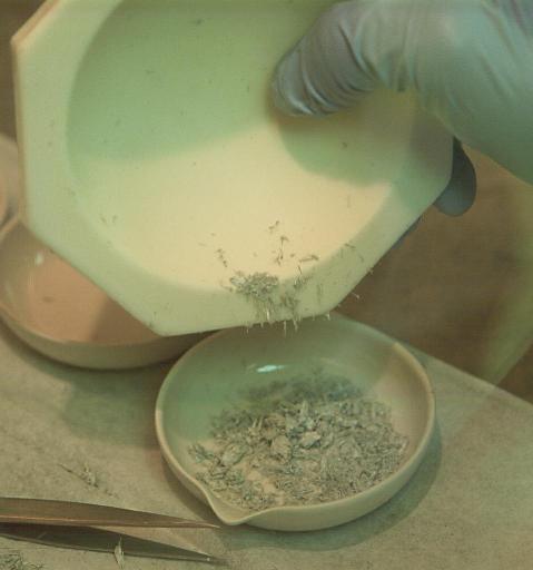 Figure 7b: Amphibole grains cling to the ceramic mortar