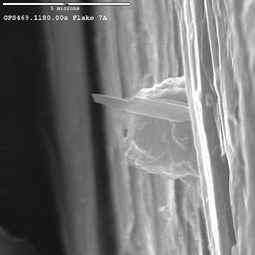 Figure 13b  Another image of flake 7a showing a richterite fibers
