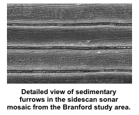 Detailed view of sedimentary furrows in the sidescan sonar mosaic from the Branford study area.