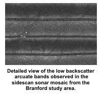 Detailed view of the low backscatter arcuate bands observed in the sidescan sonar mosaic from the Branford study area.