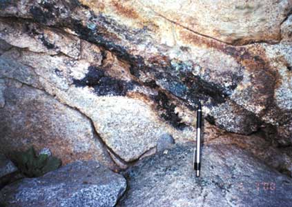 Polymetallic vein near Cerro Durango