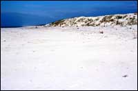 Artificial dune.