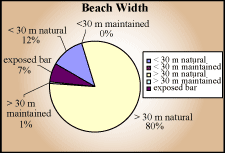 Beach width pie chart.