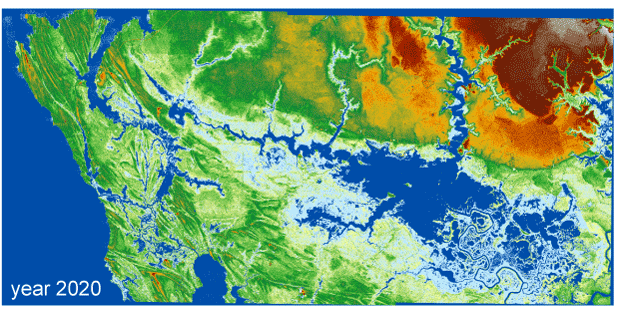 Predicted distribution of marsh vegetation zones in year 2020