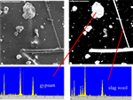 thumbnail image of Figure 1. Secondary electron image of a typical field at 500 times magnification