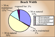 Beach width pie chart - exposed bar 3%, greater than 30 m maintained 13%; greater than 30 m natural 50%, less than 30 m aintained 1%, less than 30 m natural 33%