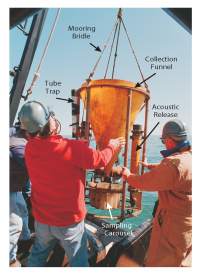 figure 3.5. Photograph of a time-series sediment trap. These traps are deployed at western Massachusetts Bay long-term Sites LT-A and LT-B.