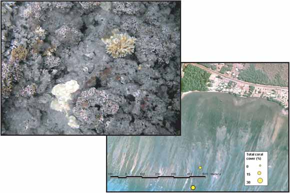 Pair of photographs:  close-up of coral and aerial photo of offshore zone