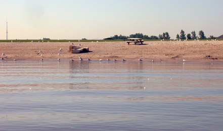 Photograph showing Lake Erie beach at Maumee bay State Park.