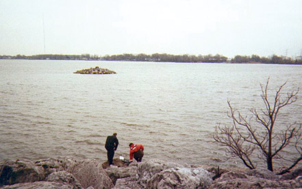 Photograph showing Maumee Bay from the siuthern side of the Combined Disposal Facility at site N4.