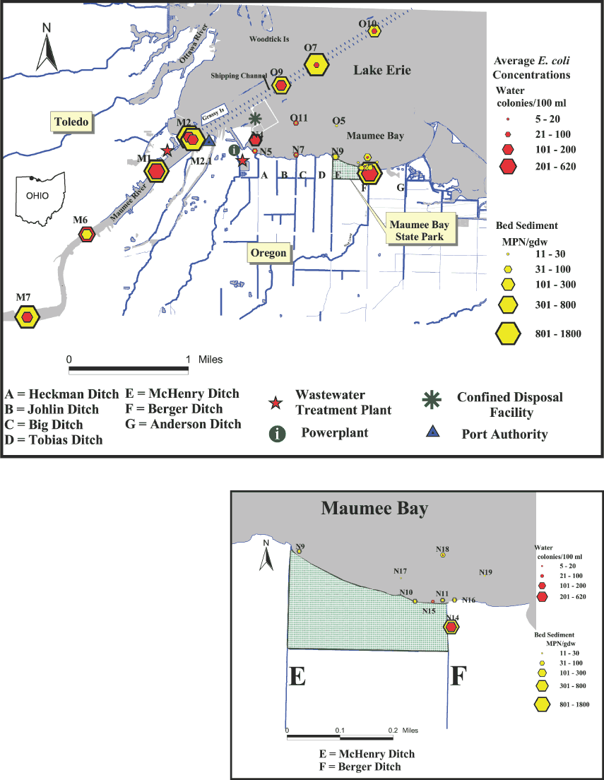 Maps showing average E. coli concentrations in Maumee Bay area, phase 2 (2004). Samples were collected from 22 sites during the recreational season (May through September) on 5 occasions at nearshore (N), offshore (O), and Maumee River (M) sites.
