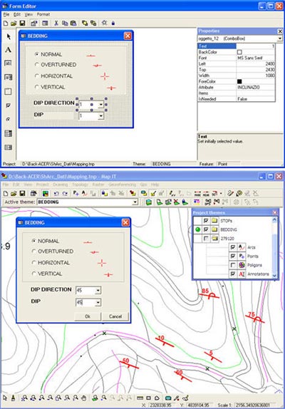Form Editor shown in the upper part of the image