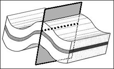 The regularity of fold structures can assist with interpolation