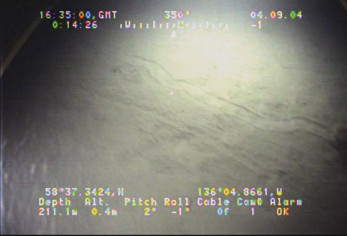 Image A. Soft, muddy, bioturbated sediment observed in seafloor video at location A in Figure 4.