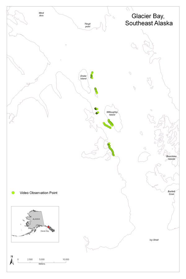 Map showing Willoughby region video observations of Glacier Bay including an inset of the State of Alaska.