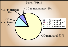 Beach width pie chart - greater than 30 meters natural 81%; greater than 30 meters maintained 12%, less than 30 meters natual 6%, less than 30 meters maintained 1%