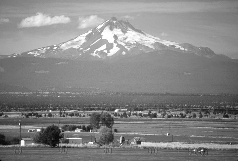 [Mount Jefferson, Oregon. View is from the east. (USGS photograph taken by Lyn Topinka, Cascades Volcano Observatory.)] 