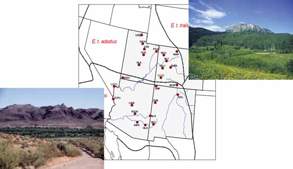 map of Arizona, Colorado, New Mexico, and Utah plus two contrasting photos:  one of arid lowlands habitat and one of lush highlands habitat