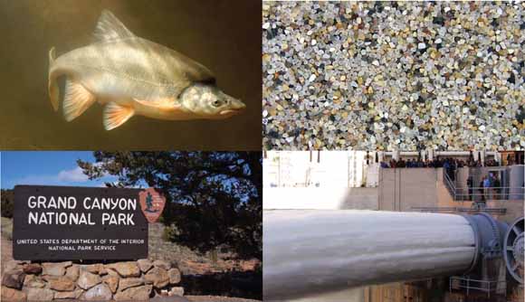 Set of four photos showing humpback chub, sand grains, sign at entrance of Grand Canyon National Park, and open jet tubes at Glen Canyon Dam